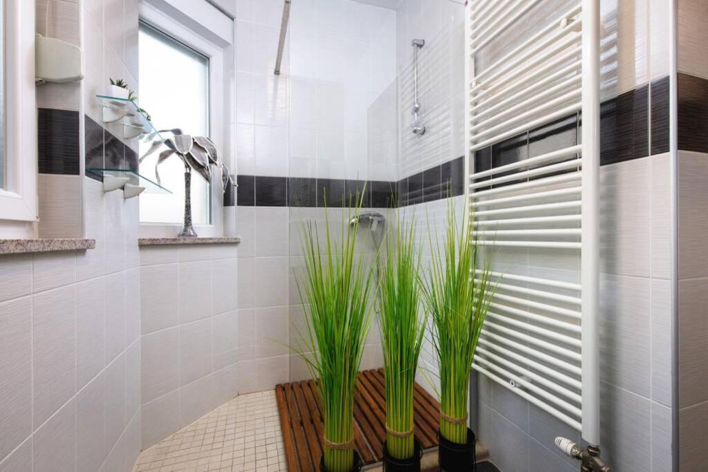 Villa Lipovac โตรกีร์ ภายนอก รูปภาพ